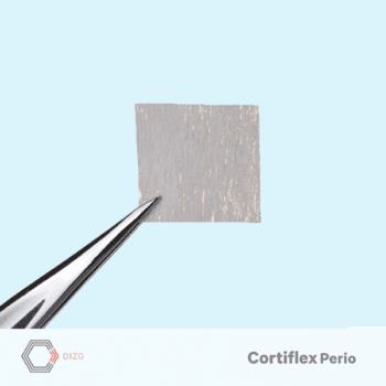 Cortiflex® Perio lámina desmineralizada