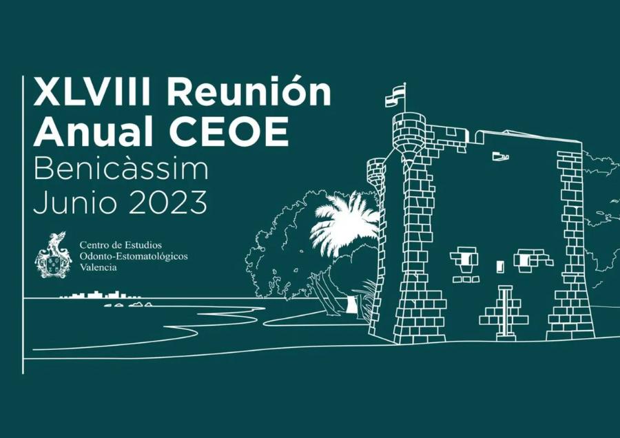 Reunion anual CEOC